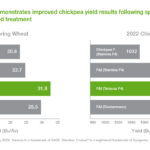 Understanding Reddy Anna ID: Features, Benefits, and How to Get Started